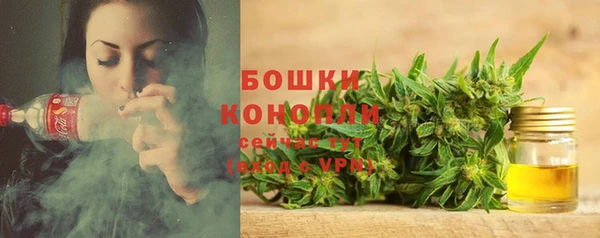 прущие грибы Гусь-Хрустальный
