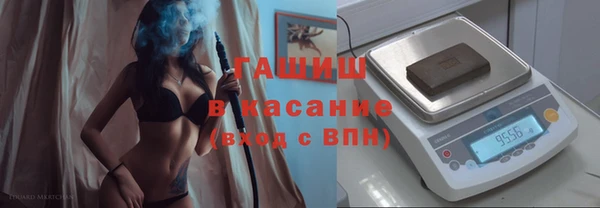 гидра Тында
