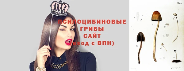 бутират Горнозаводск
