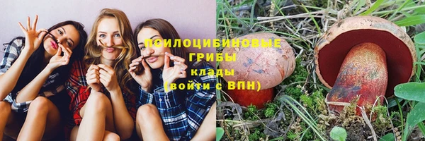 бутират Горнозаводск