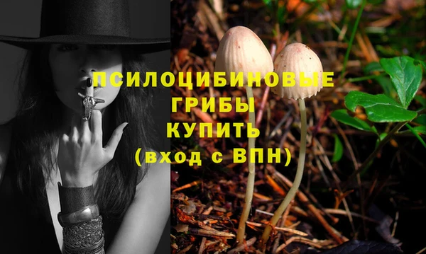 крисы Горняк