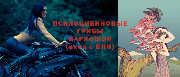 шишки Гусев