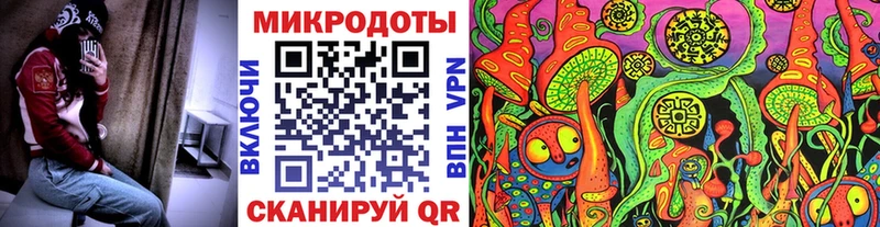 Псилоцибиновые грибы Psilocybine cubensis Энгельс