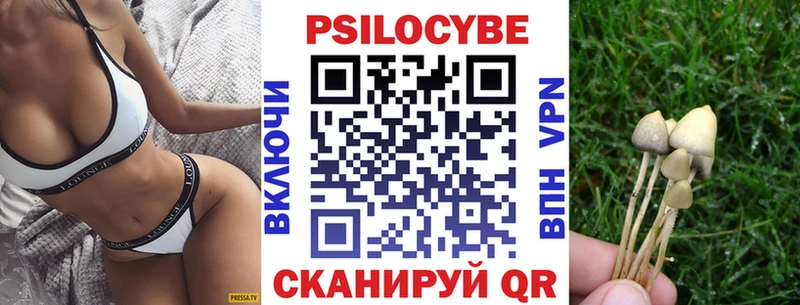 блэк спрут ссылка Энгельс Псилоцибиновые грибы мухоморы