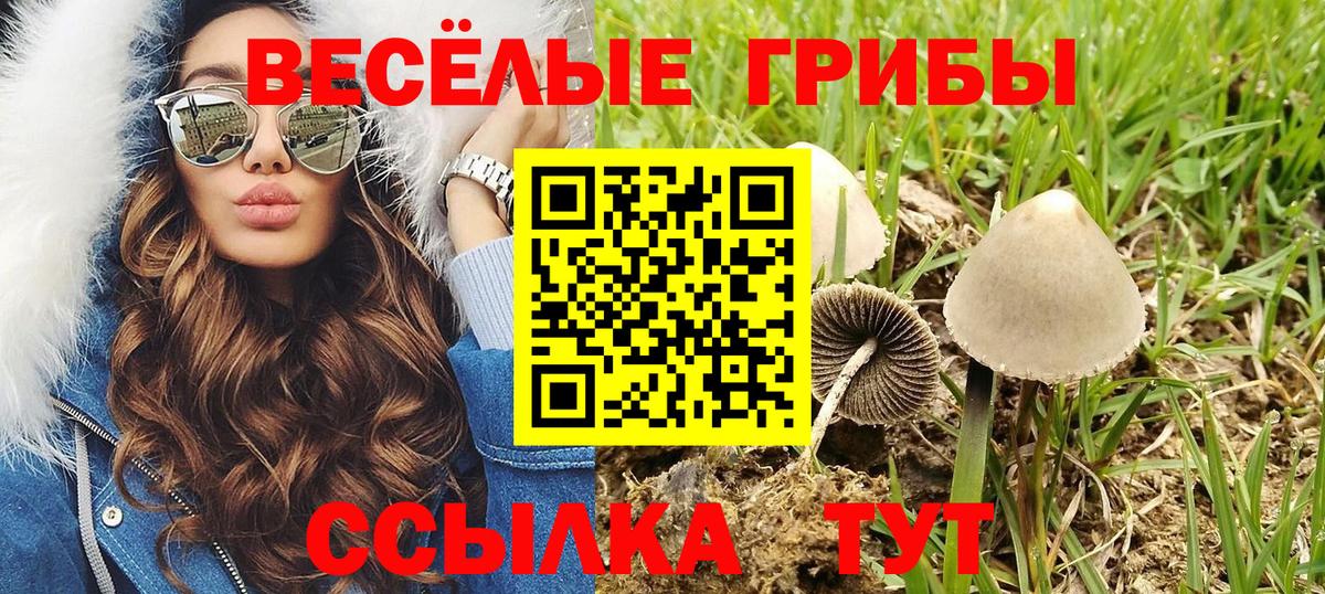 Псилоцибиновые грибы Cubensis  Вход с VPN  наркошоп  Галлюциногенные грибы GOLDEN TEACHER  Энгельс 