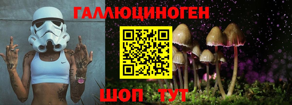 Галлюциногенные грибы прущие грибы Энгельс